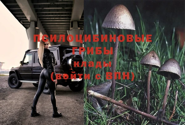 твердый Армянск