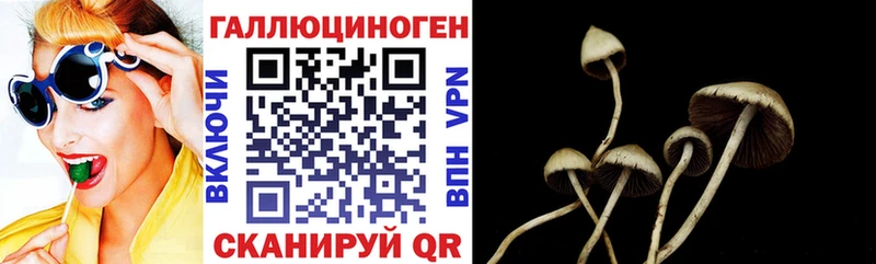 blacksprut ТОР  Белозерск  Галлюциногенные грибы ЛСД 